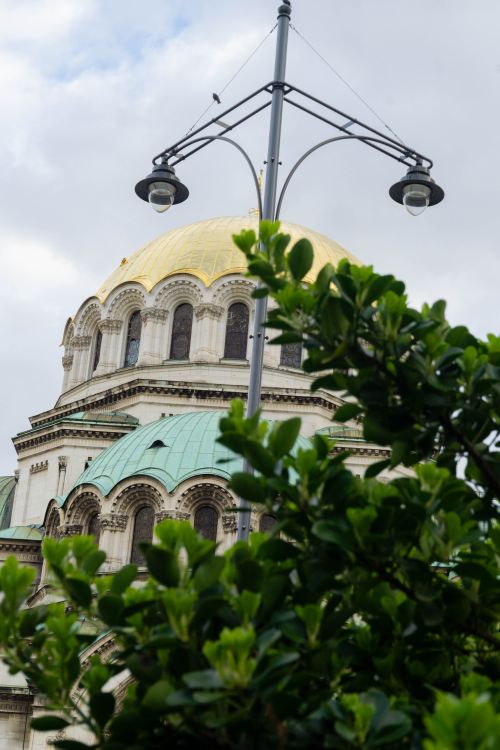 Free stock photo of architecture, cathedral, copper roof Stock Photo