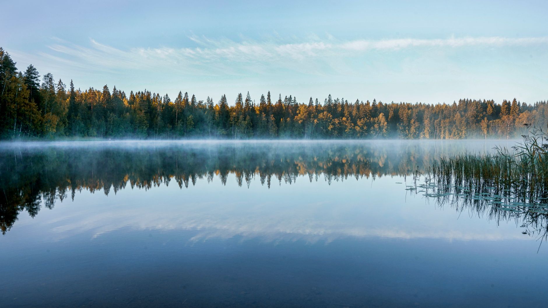 A tranquil Finnish lake reflects the forest and morning mist at sunrise.