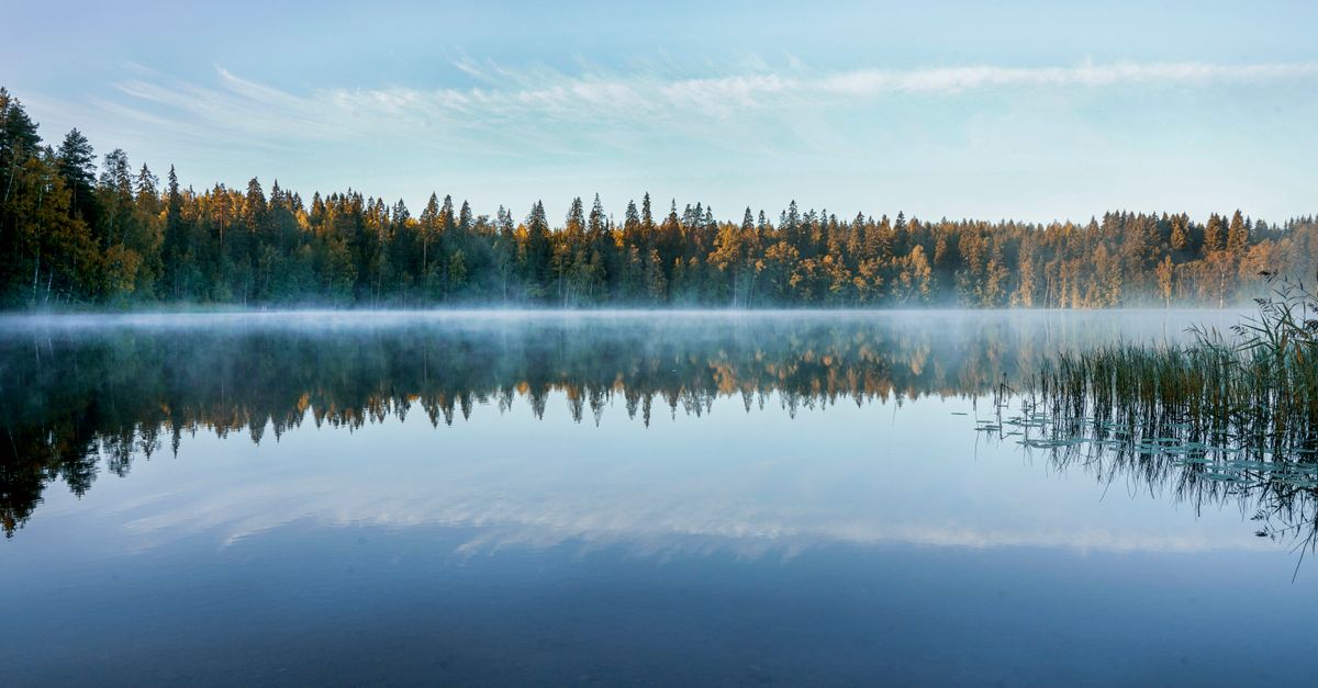 Finland: How deep-tech startups prove commercial traction in small home markets Finland: How deep-tech startups prove commercial traction in small home markets