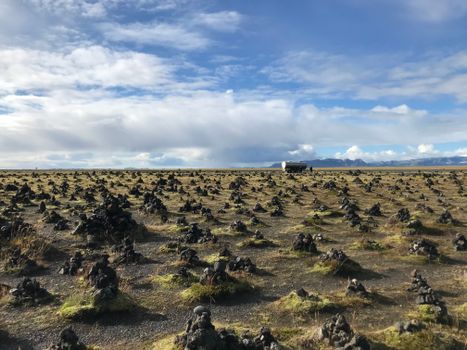 Expansive field of rock cairns under a clear sky in Iceland, showcasing unique geological features.