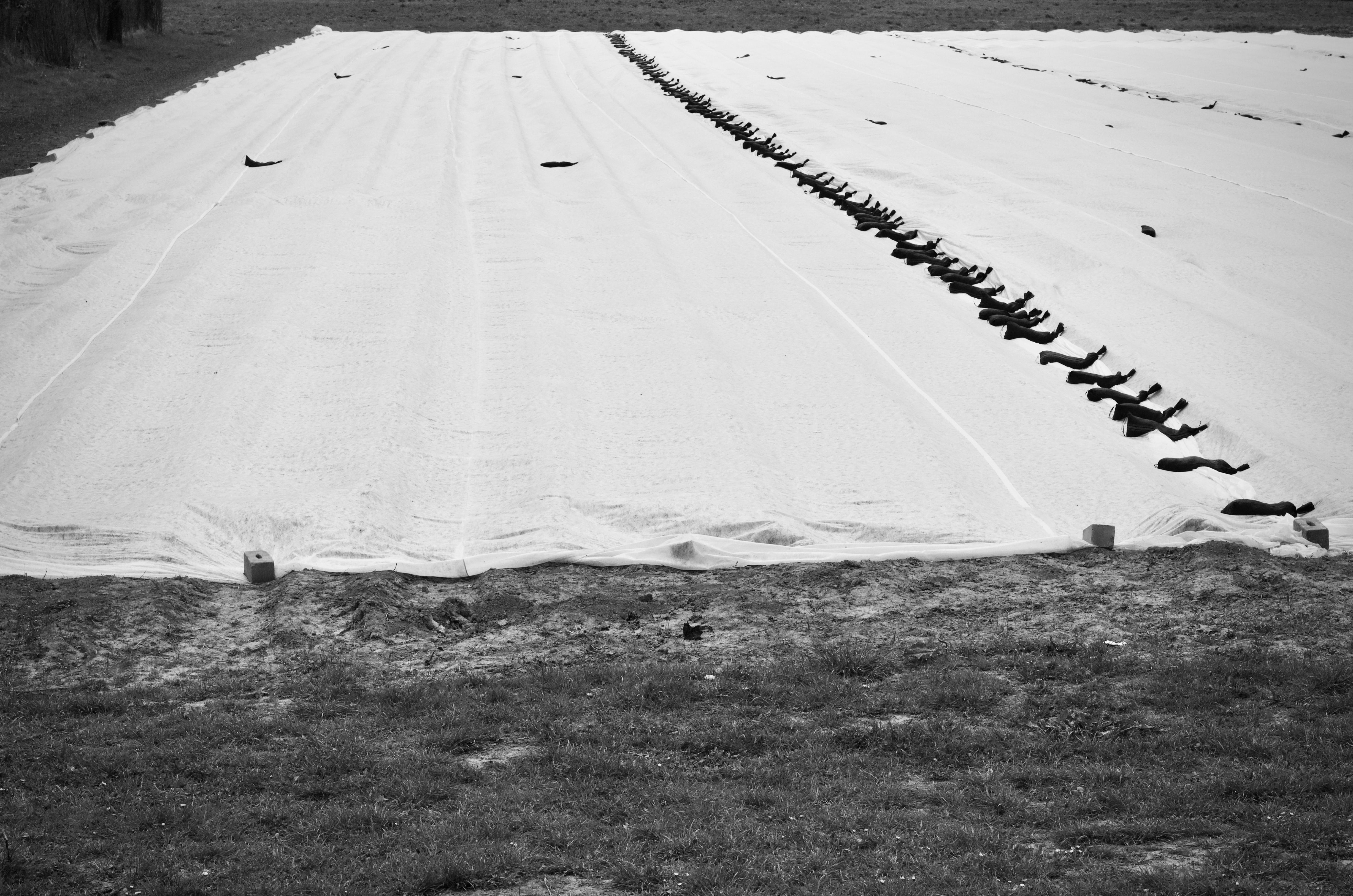 Geotextile thumbnail 2