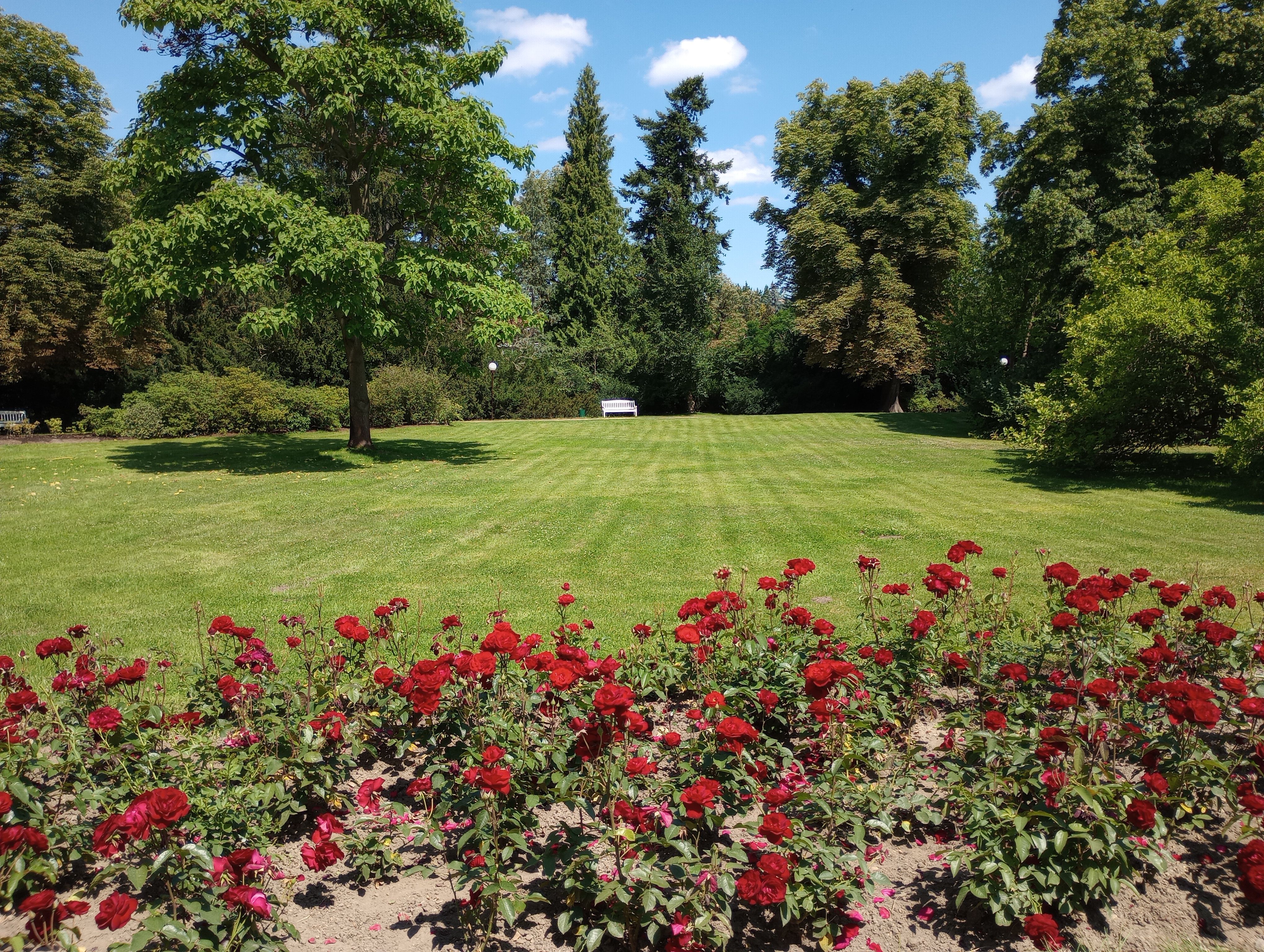 Gaia Park