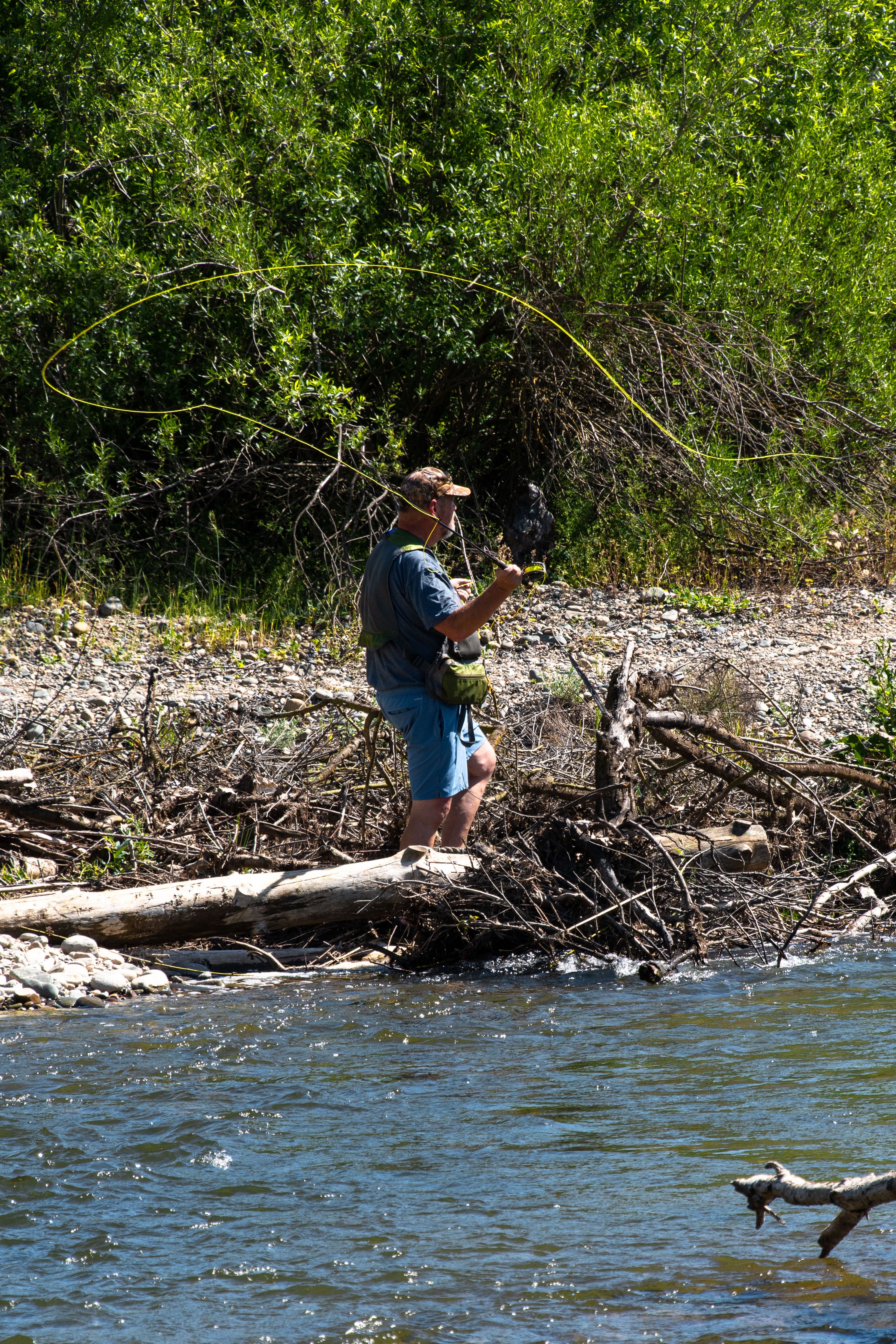 Angler expertly fly fishing amidst scenic nature along the American River in Sacramento, California.