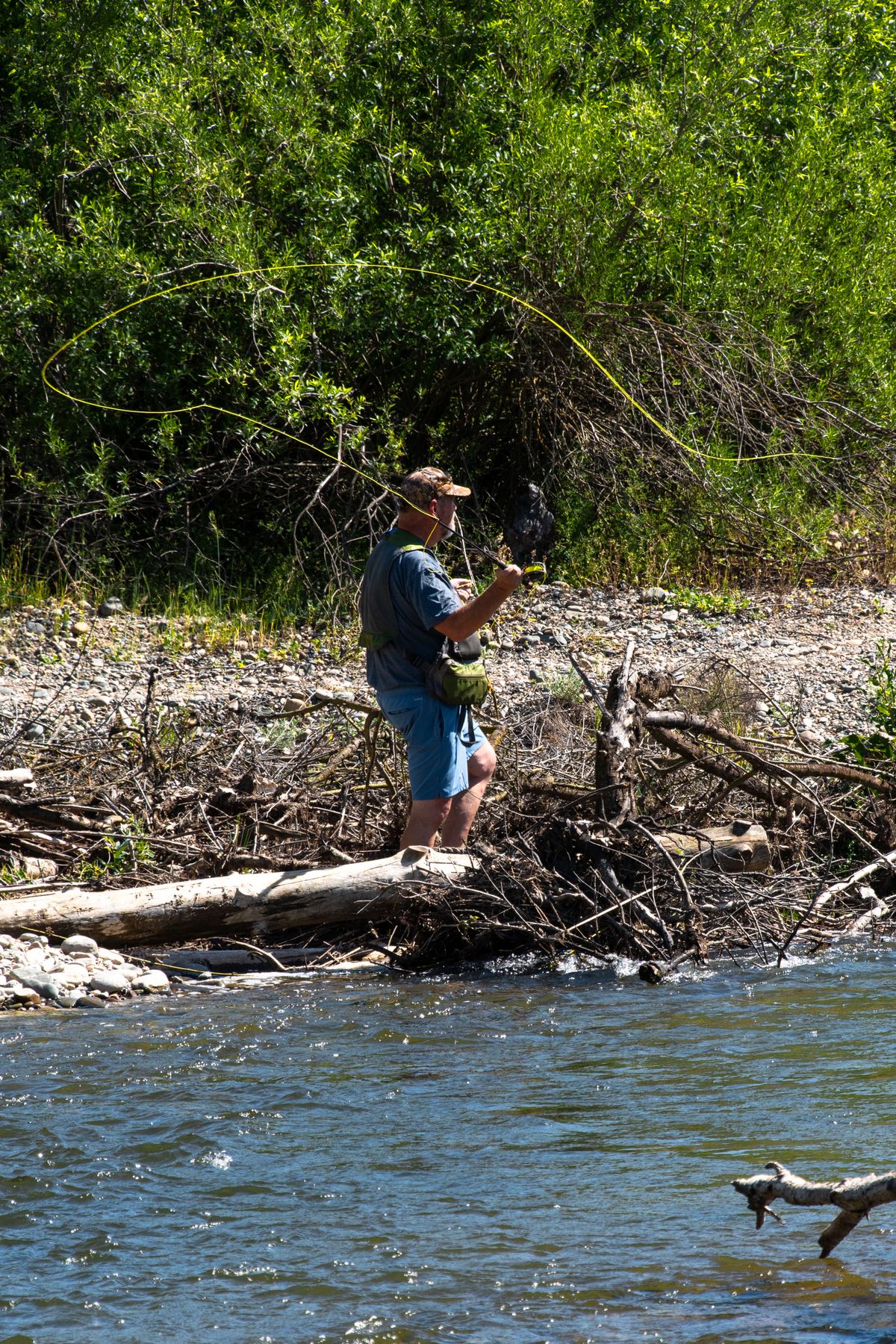 An angler fly fishing the American River in Sacramento, California
