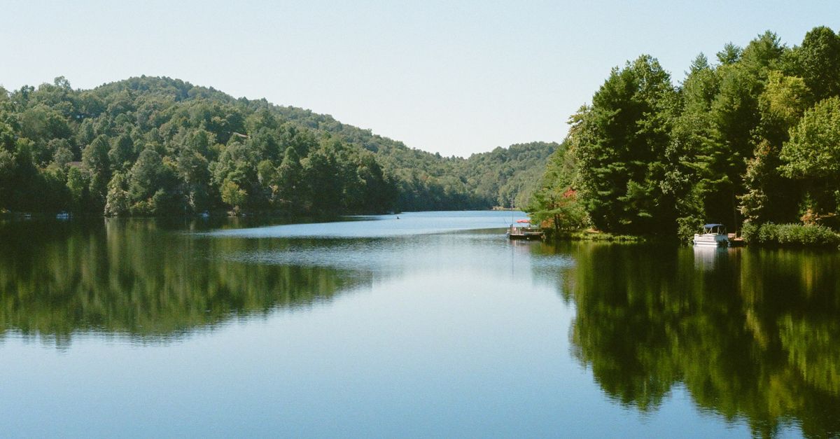 Tranquil summer scene of a lake surrounded by lush forests in North Carolina.