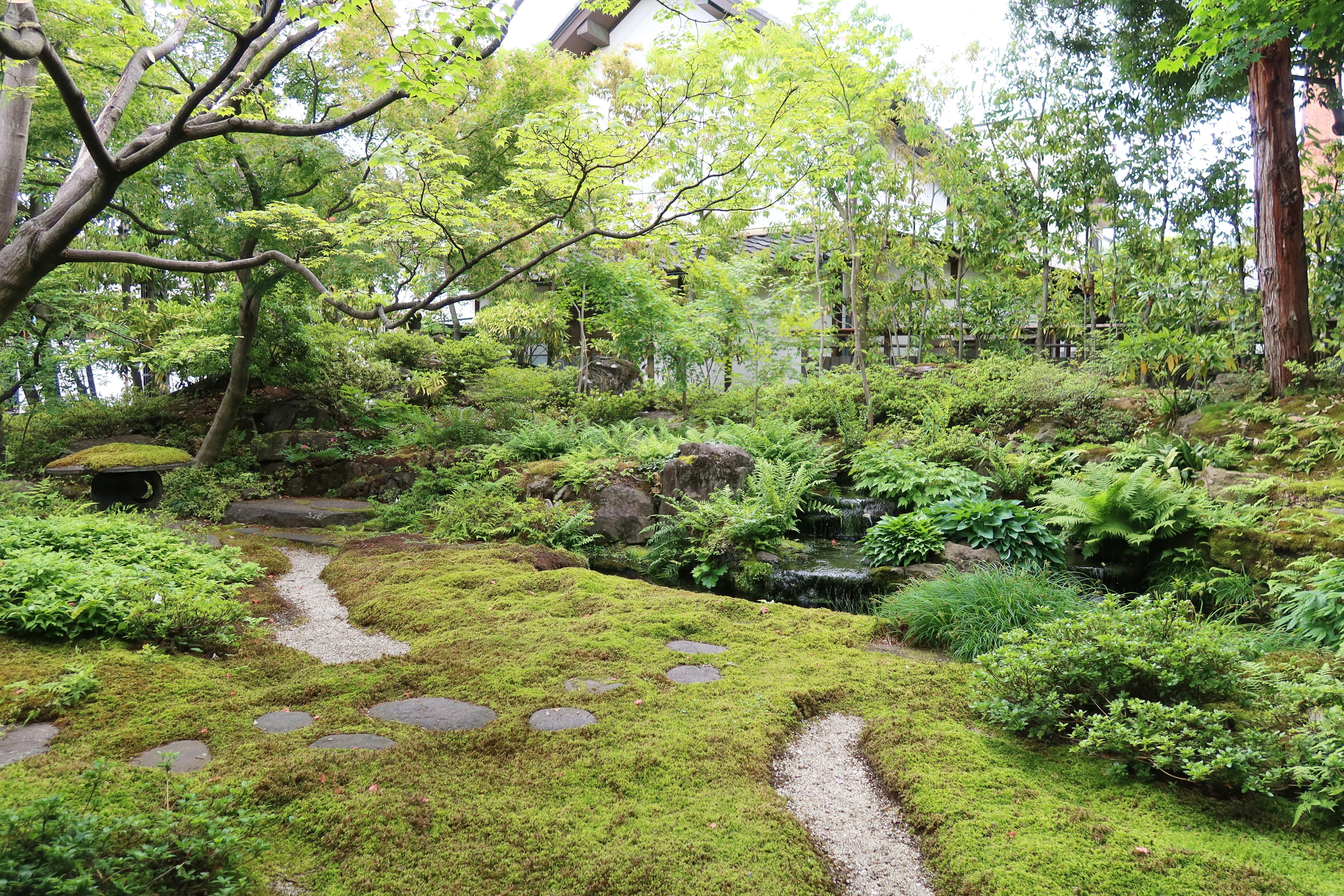 A Landscape Designer’s Favorite Gardening Tools — Photo by Hiroko Nakagawa on Pexels