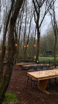 Rustic outdoor dining area set in a serene forest landscape with tables and string lights.