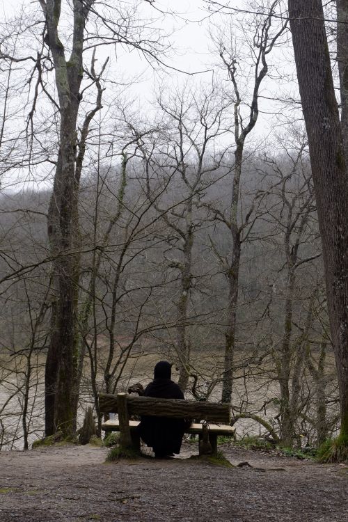Free Person in dark clothing sits on a bench surrounded by bare trees in a winter forest. Stock Photo