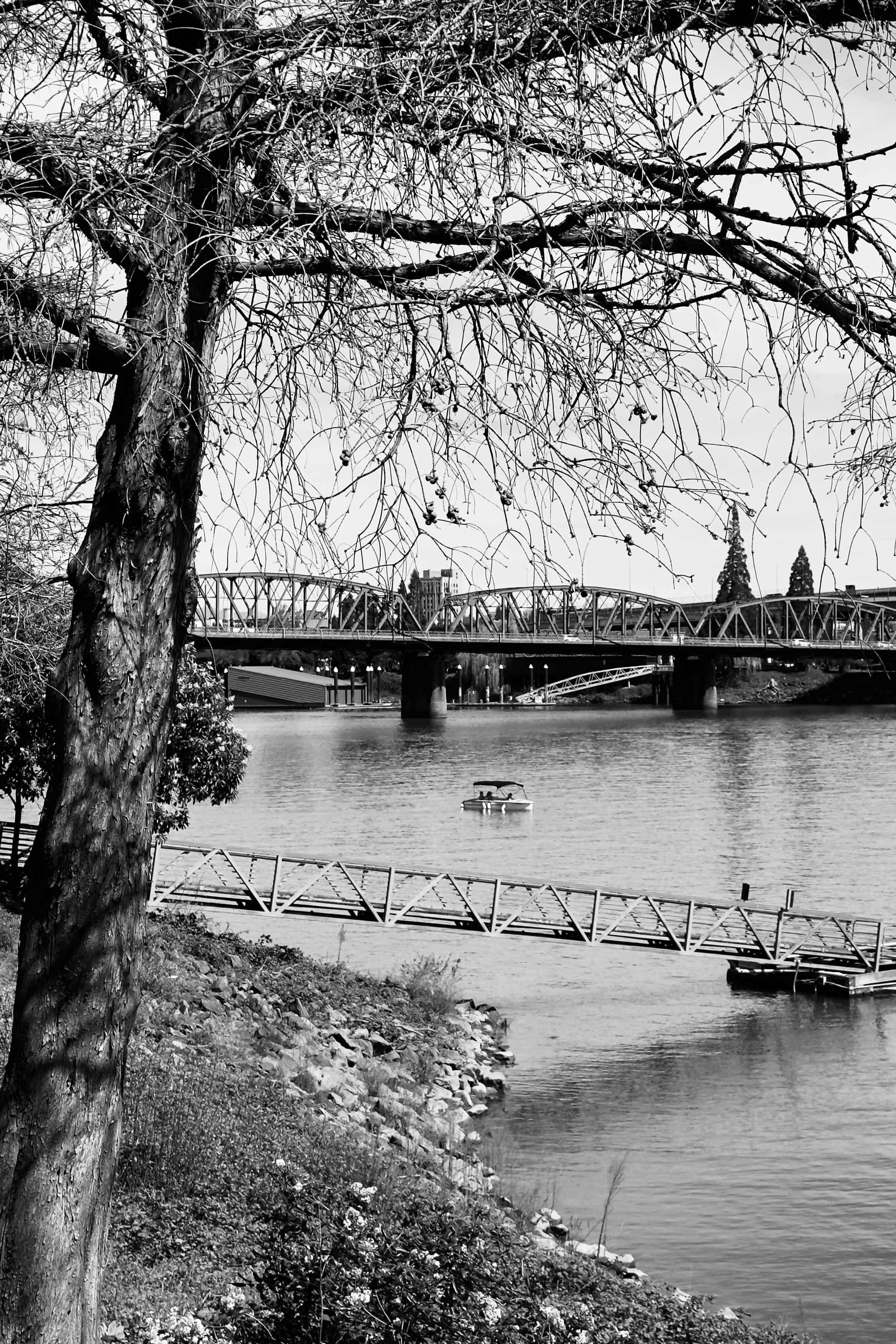 Scenic black and white photograph of Hawthorne Bridge across the Willamette River in Portland, Oregon.