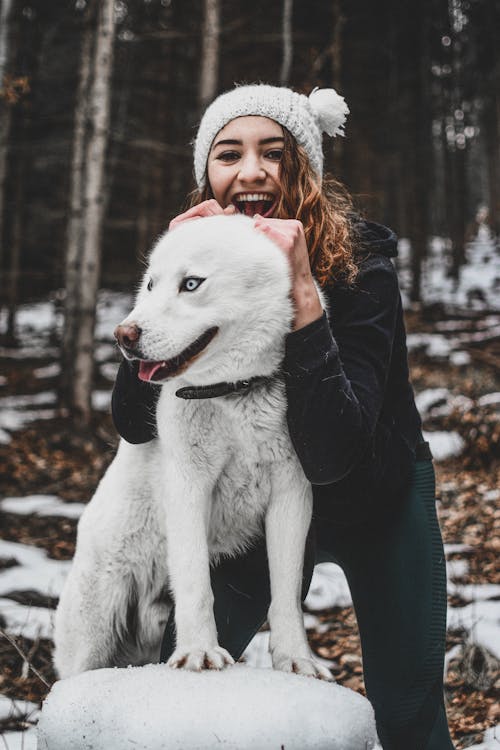 彼女の白い犬を保持している女性