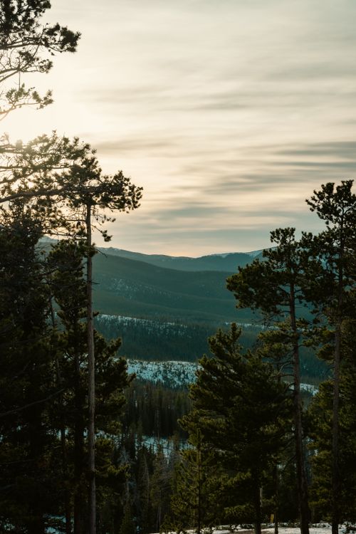 Free Peaceful mountain view with lush pine trees and a tranquil sky. Stock Photo