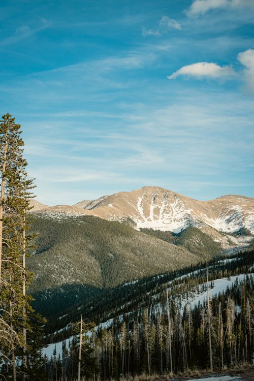 Free Scenic view of a snow-capped mountain range with evergreen forest under a clear blue sky. Stock Photo