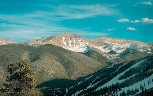 Free Mountain landscape with snow-capped peaks and evergreen forest under a clear blue sky. Stock Photo