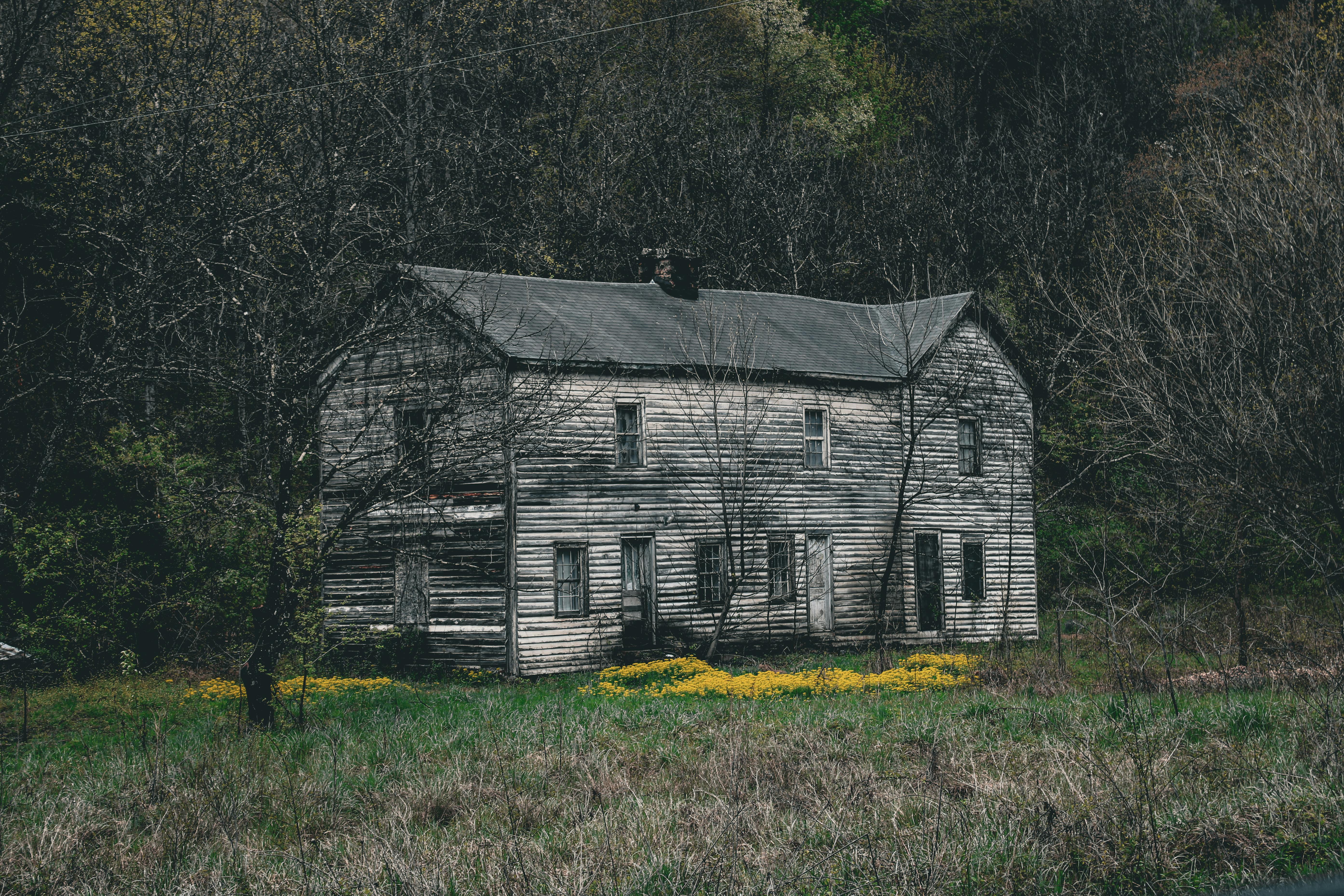 The Energy Vampires Haunting Your Home — Photo by Niki Clark on Pexels