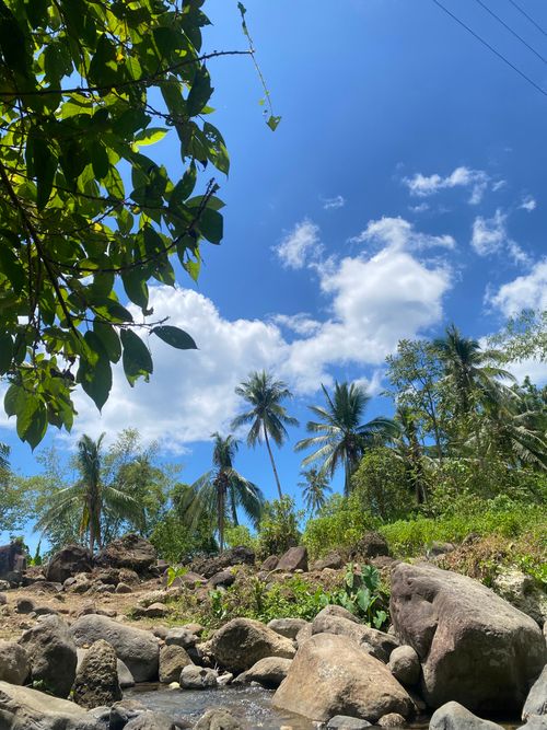 Free Lush tropical landscape with rocks and palm trees in Inopacan, Philippines. Stock Photo
