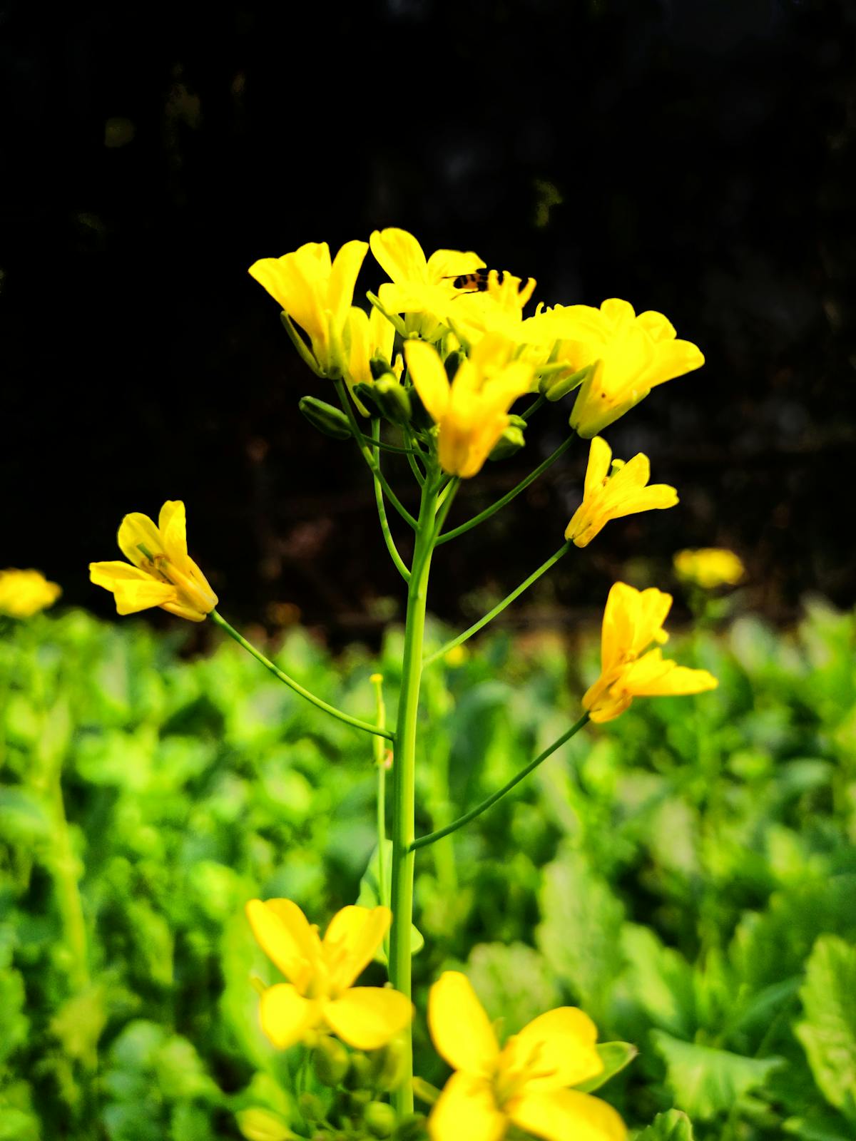 Couple embracing each other on a bed in a comforting way