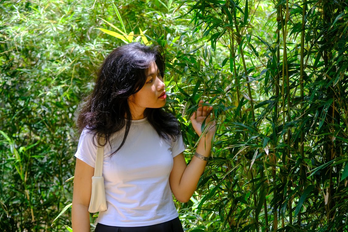 Young Woman Exploring Bamboo Forest in Da Nang · Free Stock Photo