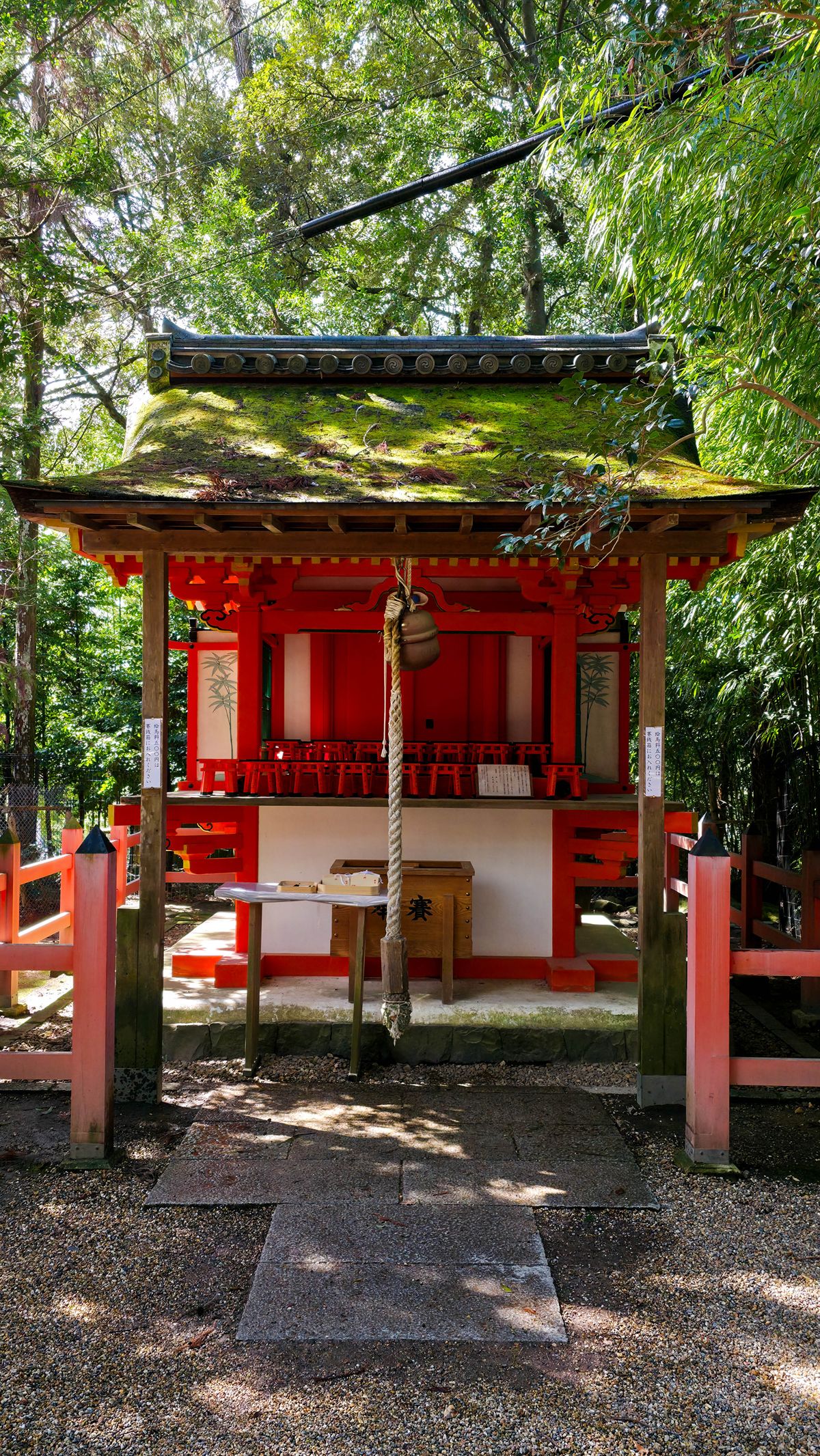 Serene traditional Japanese shrine in a lush forest setting