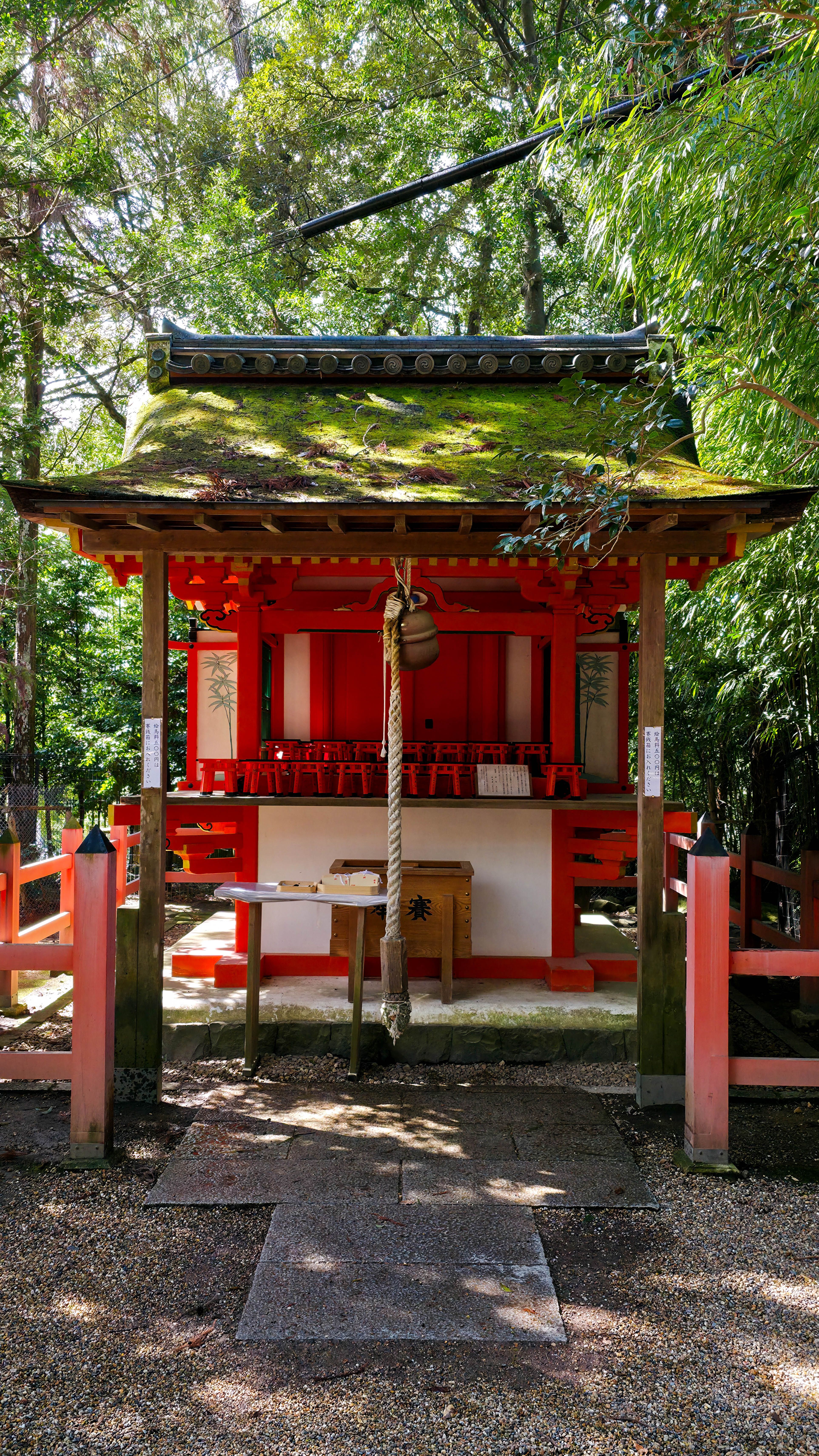Serene Traditional Japanese Shrine in Forest · Free Stock Photo