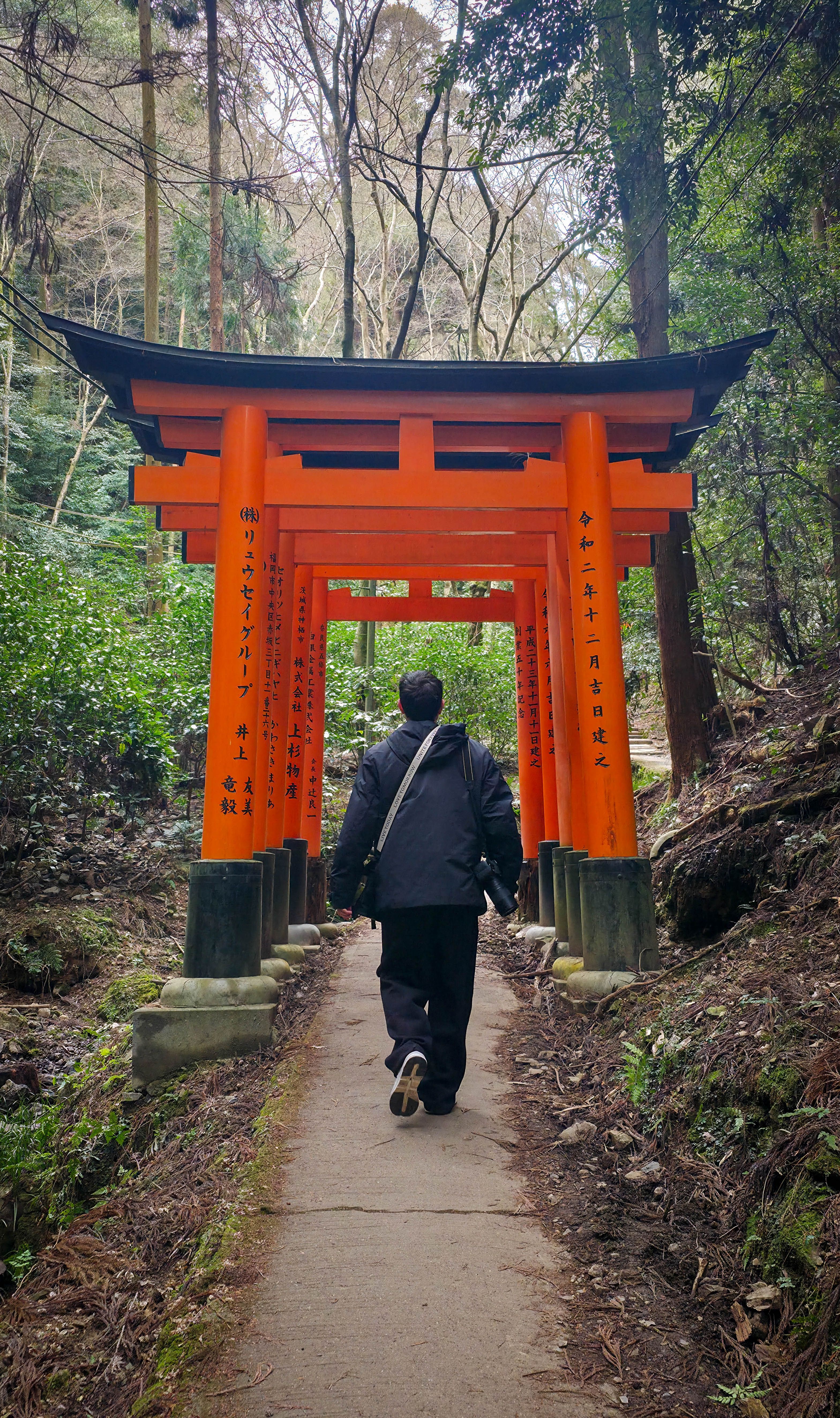 Man Walking Through Fushimi Inari Torii Gates · Free Stock Photo