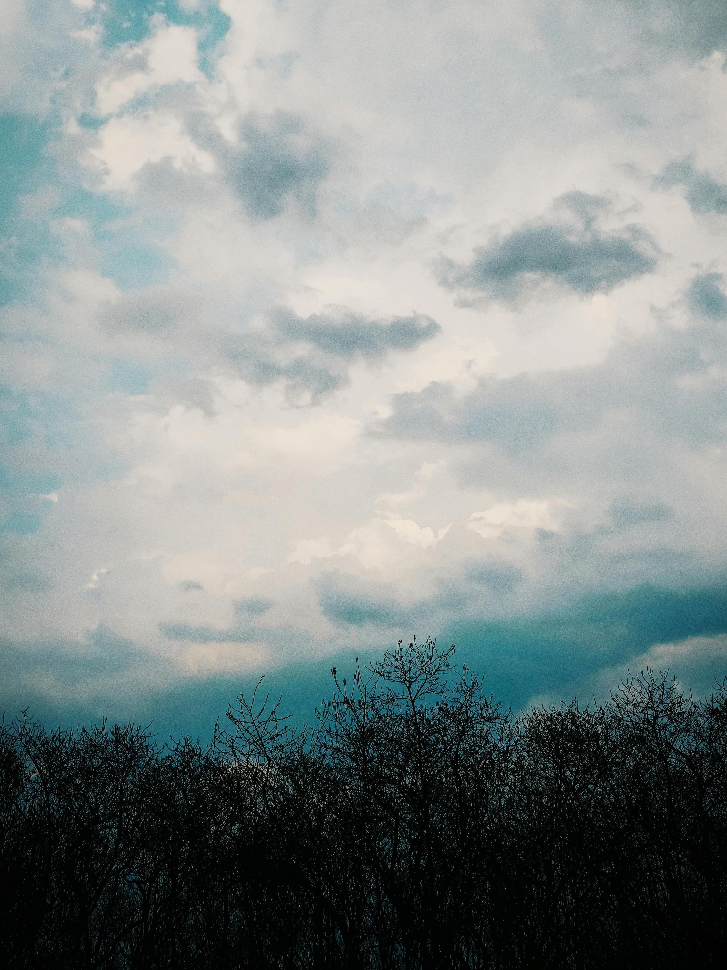 pexels-photo-36940521.jpeg