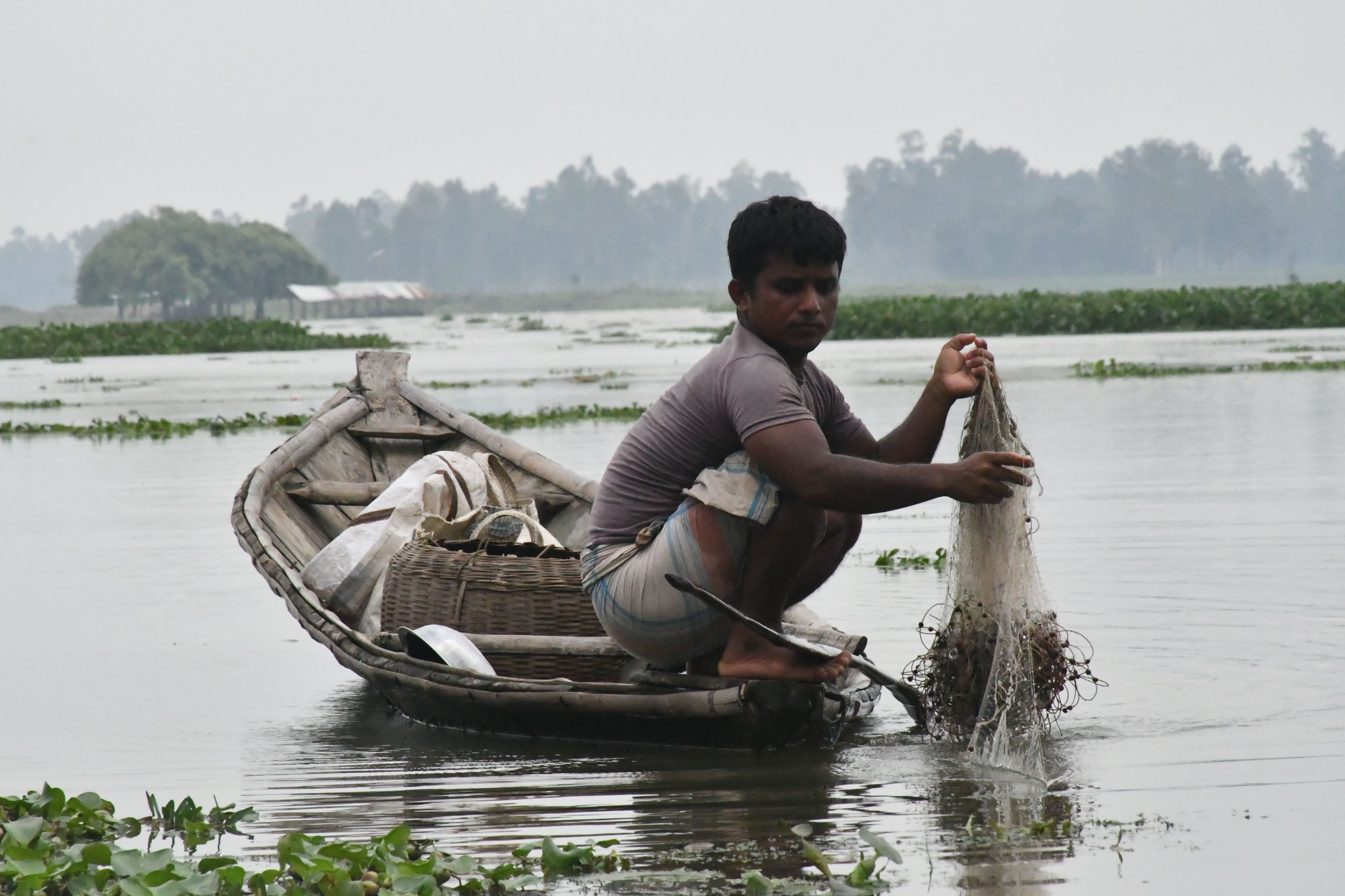 Local fisherman casting a net from a wooden boat in Rangpur, Bangladesh.
