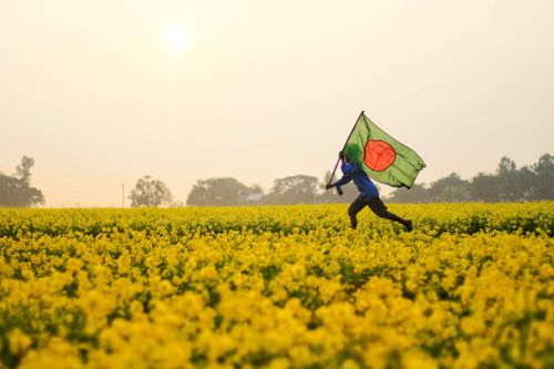 Free A person running with the Bangladesh flag through a yellow mustard field during daytime. Stock Photo