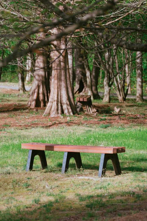 Free A tranquil scene with a park bench under tall trees in Atlanta, Georgia. Stock Photo