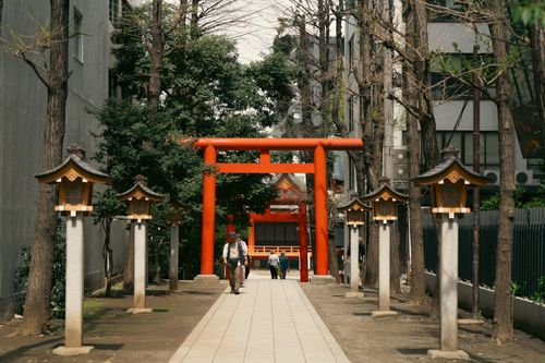 Free Experience the tranquility of a Tokyo shrine with its iconic red torii gate and traditional lanterns. Stock Photo