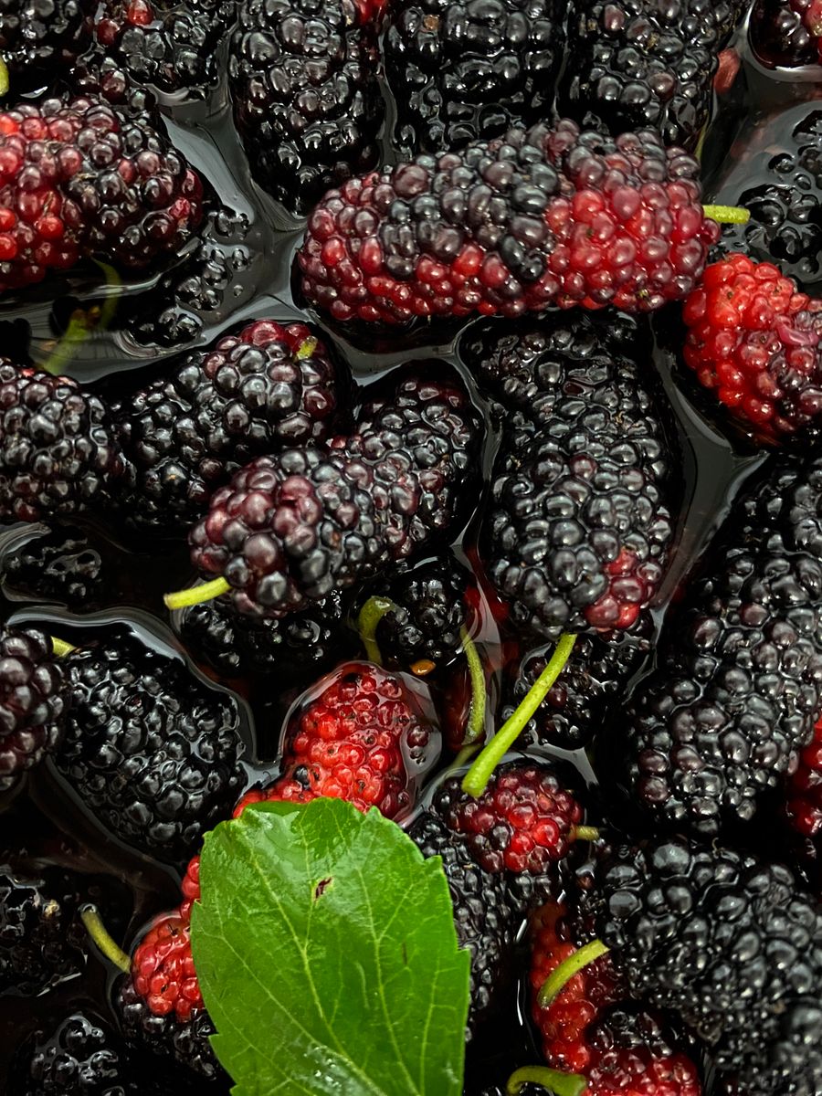 Fresh black and red mulberries