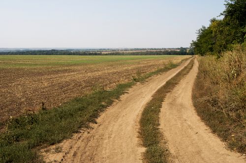 Free Scenic view of a dirt road leading through open countryside landscape with fields and trees during the day. Stock Photo