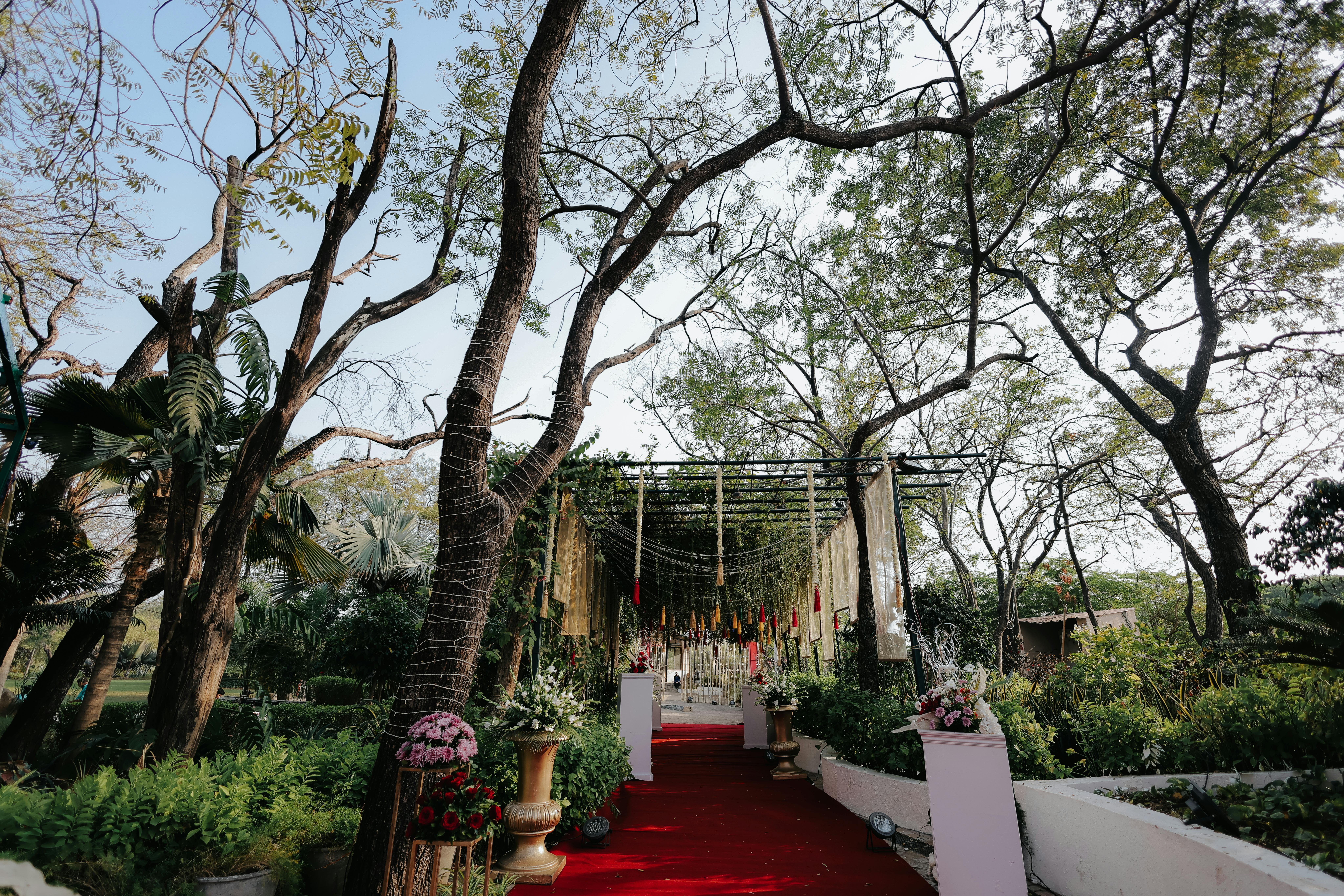 wedding & events — Photo by Vishv Shah on Pexels