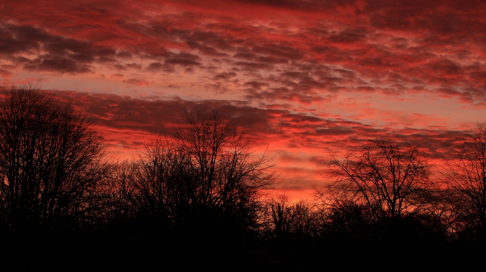 Red Sky with Clouds at Sunset · Free Stock Photo