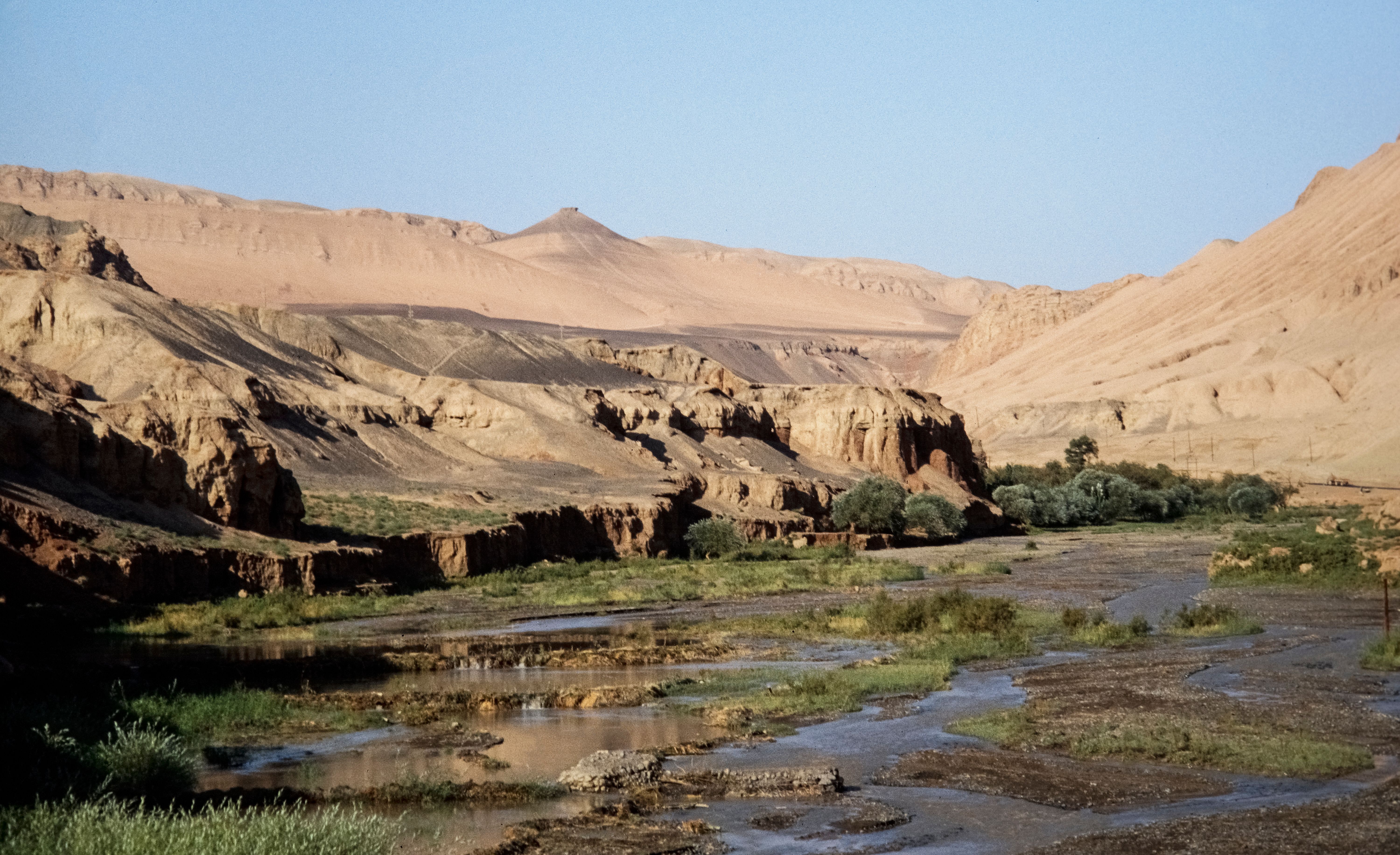 Beautiful desert landscape with rocky cliffs and green vegetation in China.