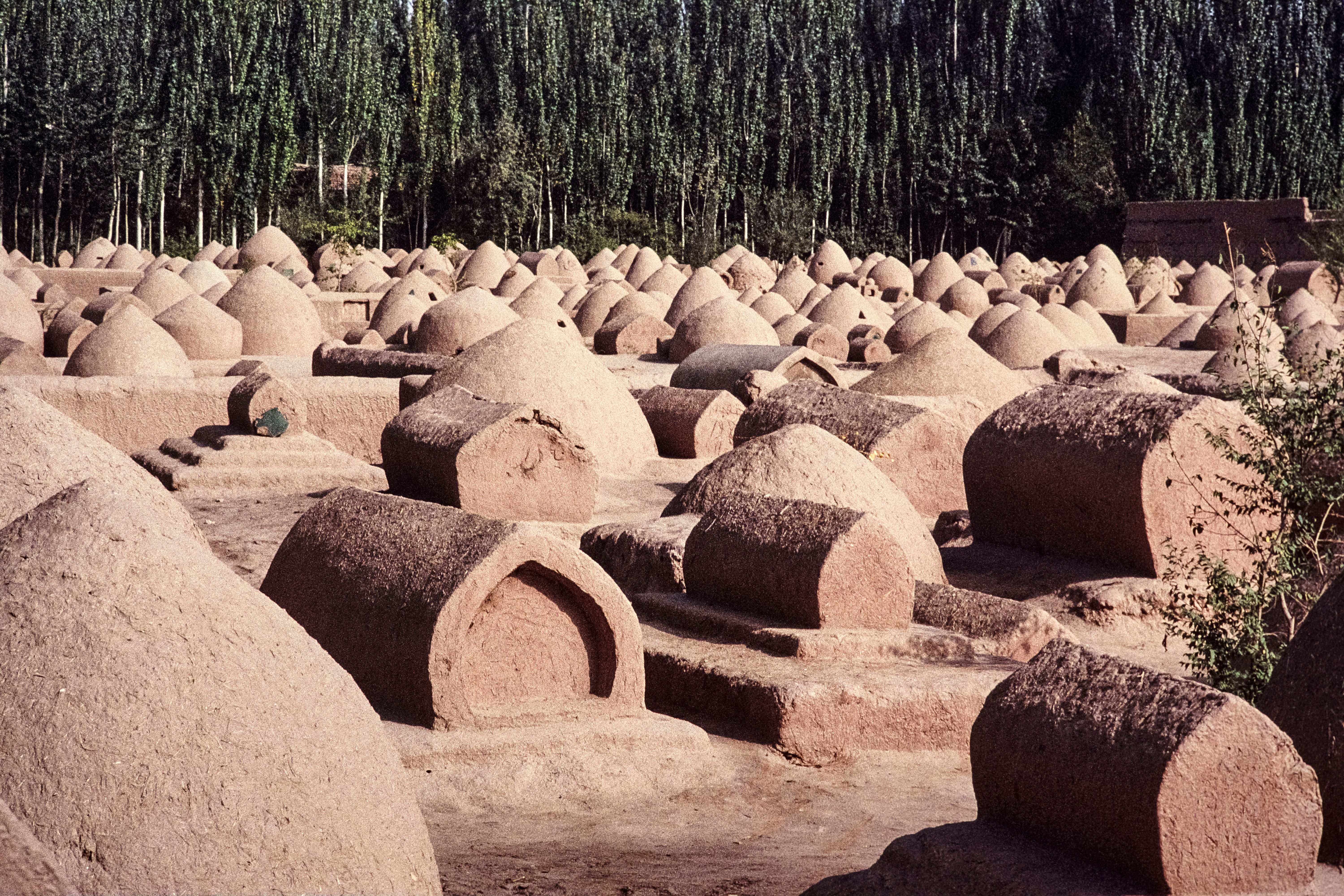 Turpan Travel Guide 2026: Flaming Mountains, Ancient Ruins & Silk Road Grapes