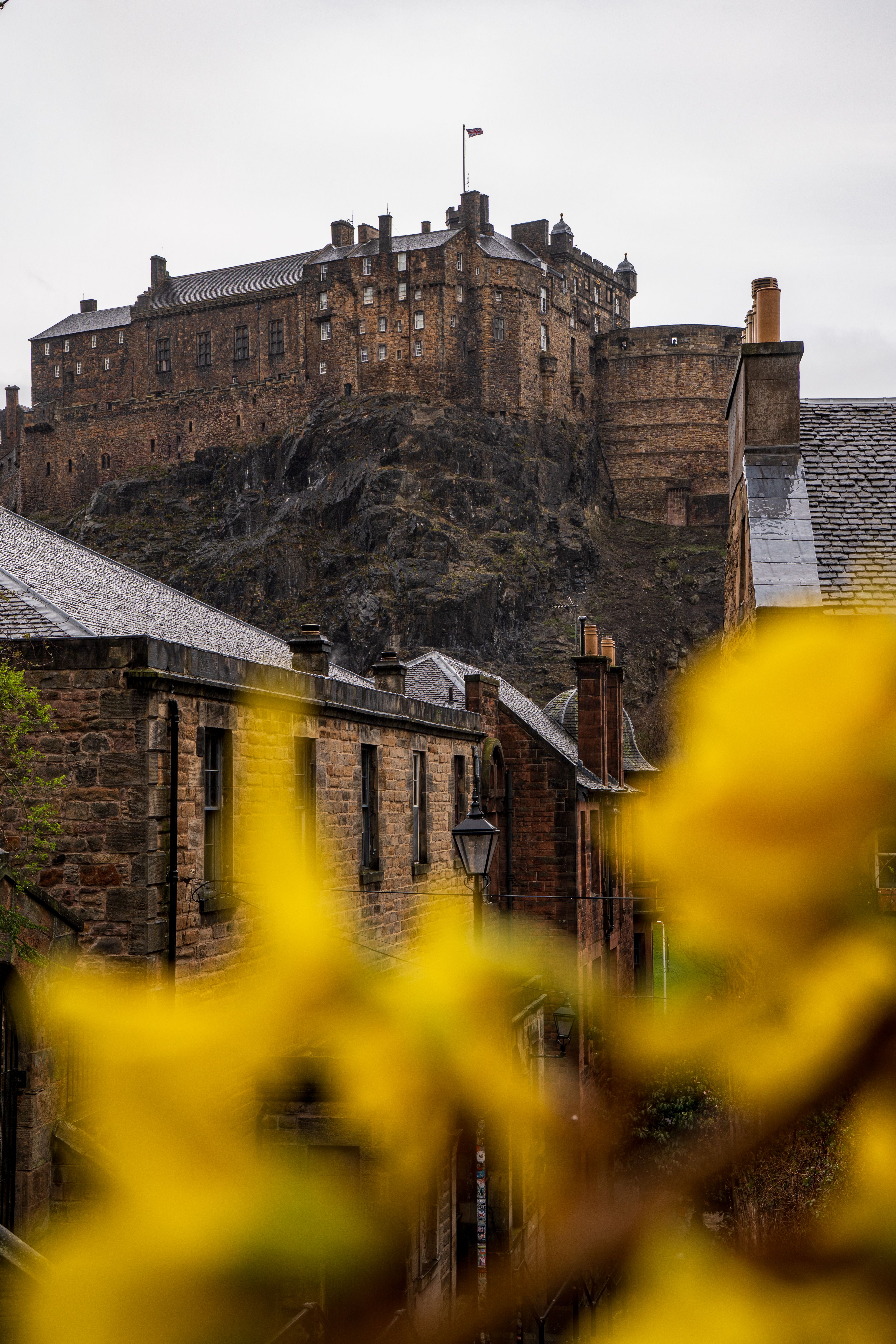 Edinburgh Castle with Spring Yellow Flowers · Free Stock Photo
