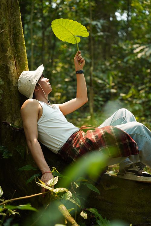 Free A person enjoys a peaceful moment in the vibrant greenery of Cuc Phuong National Park, Vietnam. Stock Photo