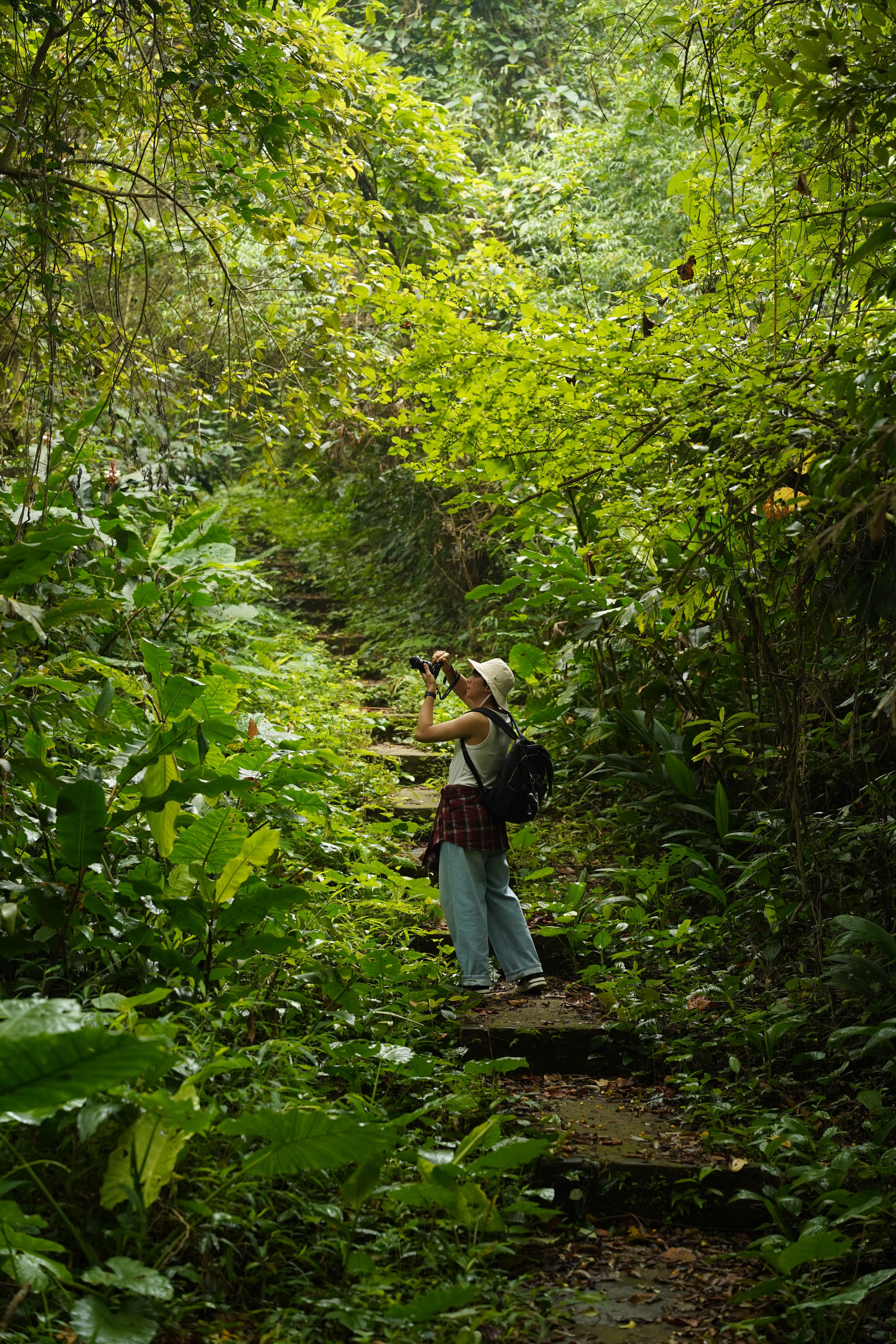 Cuc Phuong National Park