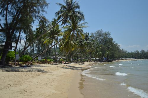 Free Serene tropical beach with palm trees and gentle waves under a clear sky, perfect summer getaway. Stock Photo