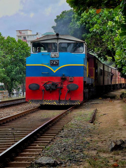 Free A vibrant train travels through lush greenery on a railway in Colombo, Sri Lanka. Stock Photo