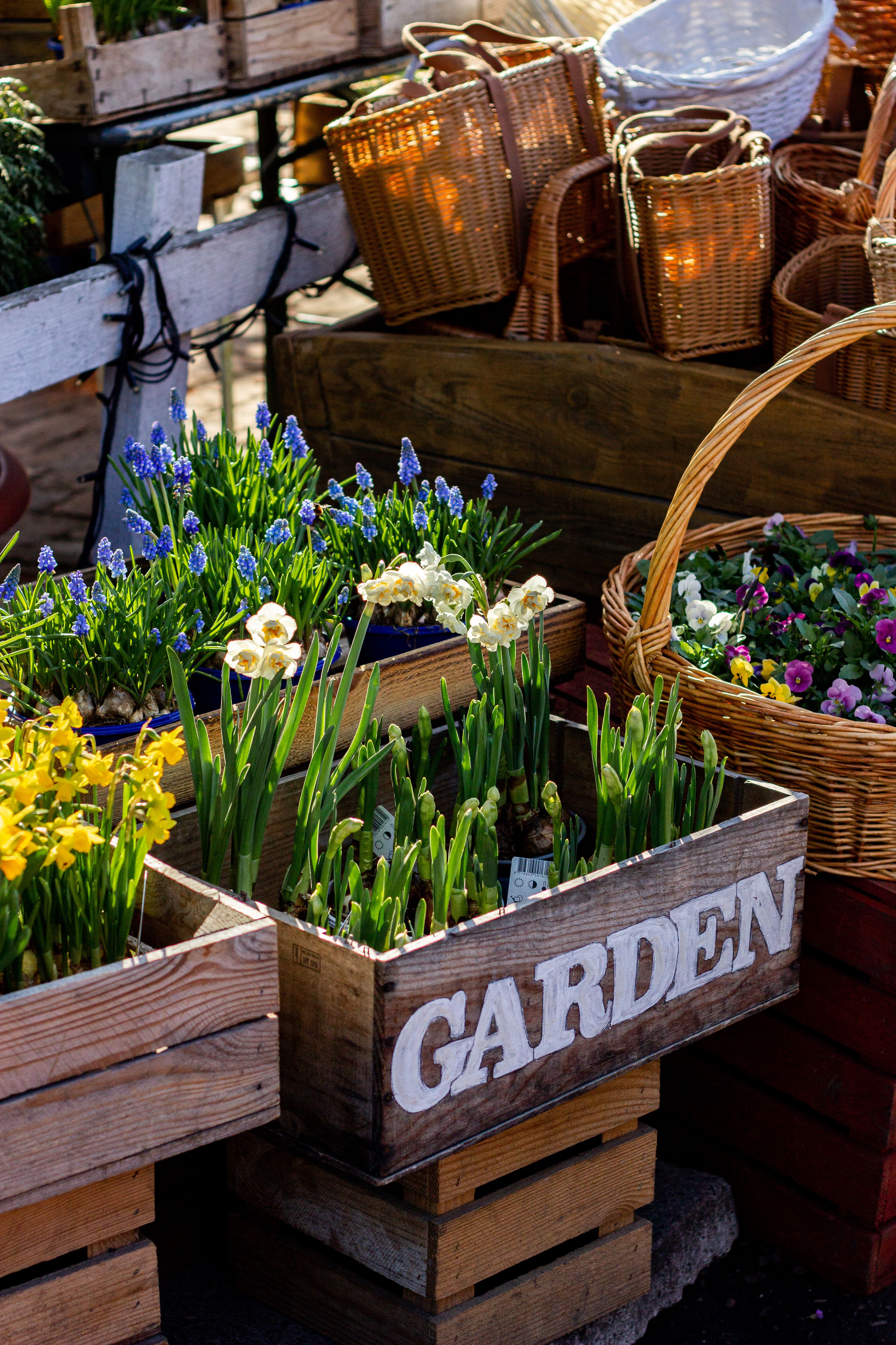 Gardmaeasfeb7 2