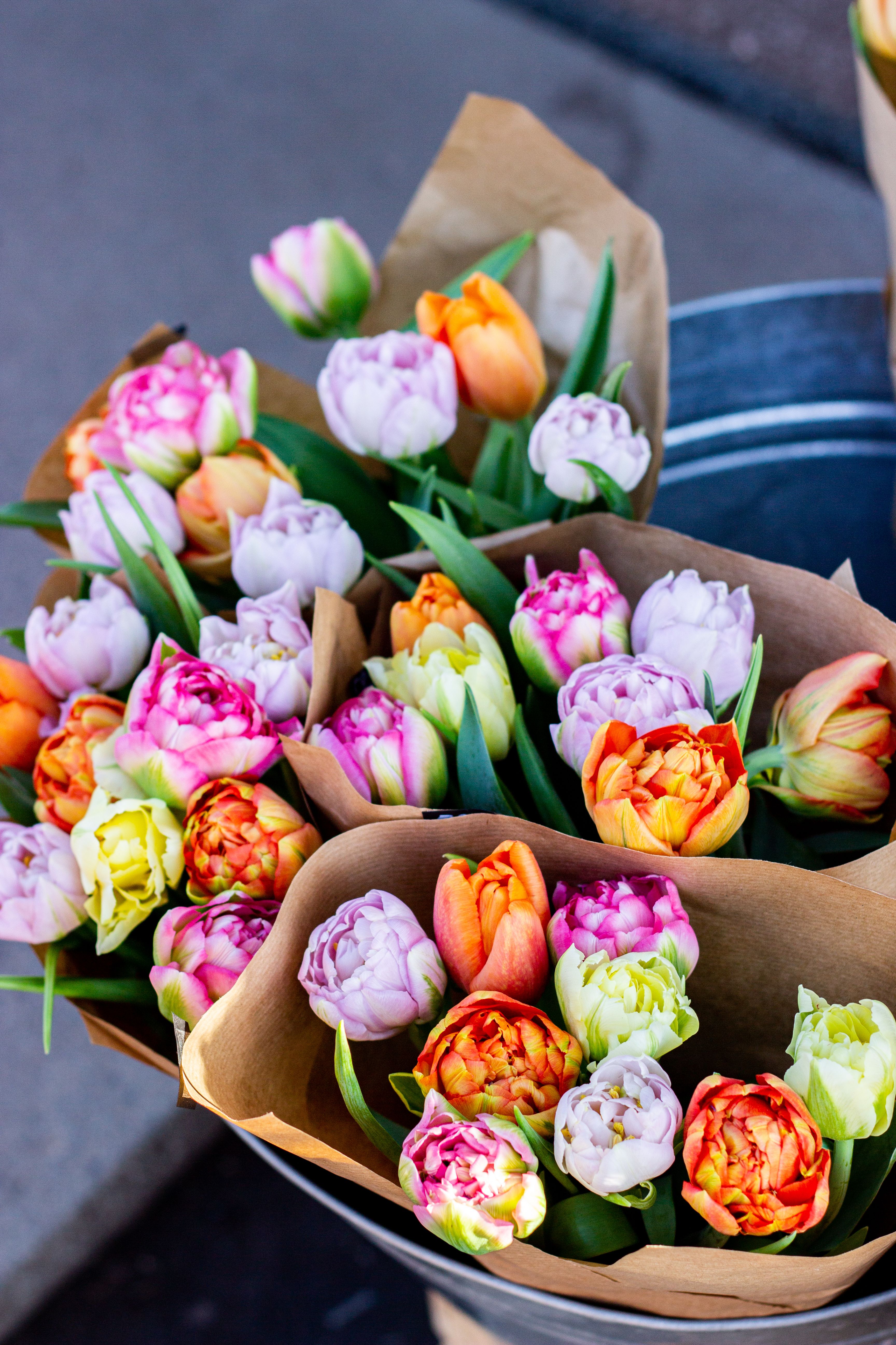 Tulip Bouquet - 10 Stems