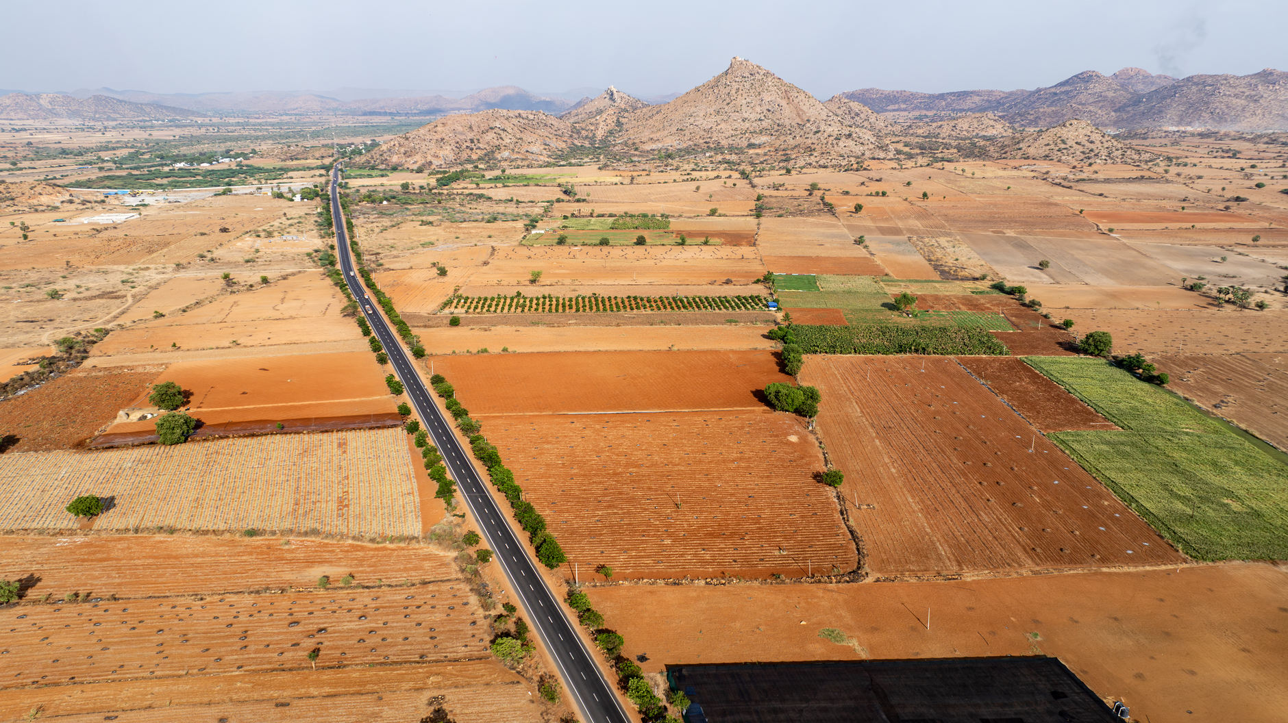 Where to Eat in Bidar: Local Food Guide