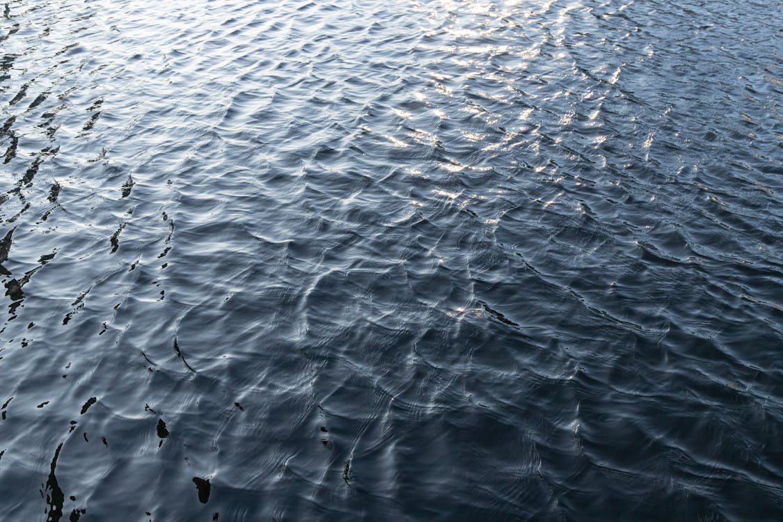 คลังภาพถ่ายฟรี ของ H2O, กระเพื่อม, ทะเล