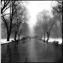 乌克兰利沃夫冬季雾气公园的小径以单色拍摄，显得神秘