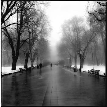 乌克兰利沃夫冬季雾气公园的小径以单色拍摄，显得神秘