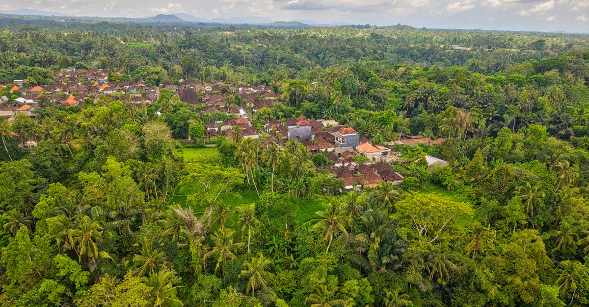 Aerial view of dense forest and village rooftops in the hills around Ubud, Bali.