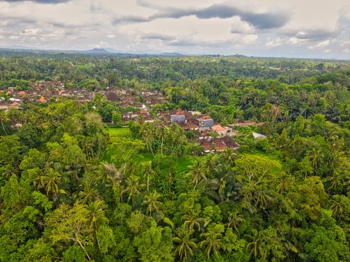 Free Stunning aerial shot of lush forest and a traditional village in Bali, Indonesia. Stock Photo
