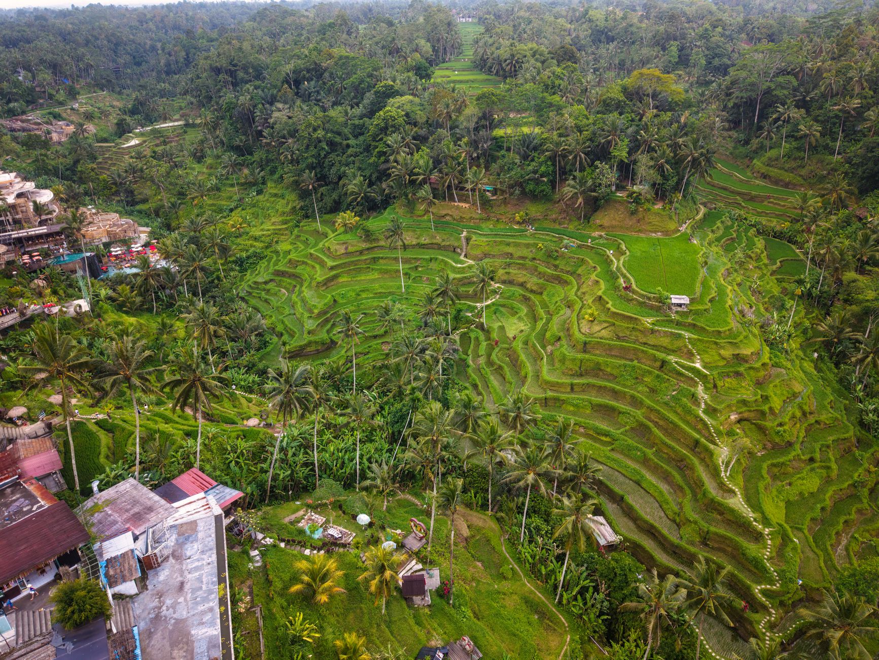Tegalalang Rice Terrace Bali: Permata Hijau di Tengah Keindahan Alam Ubud