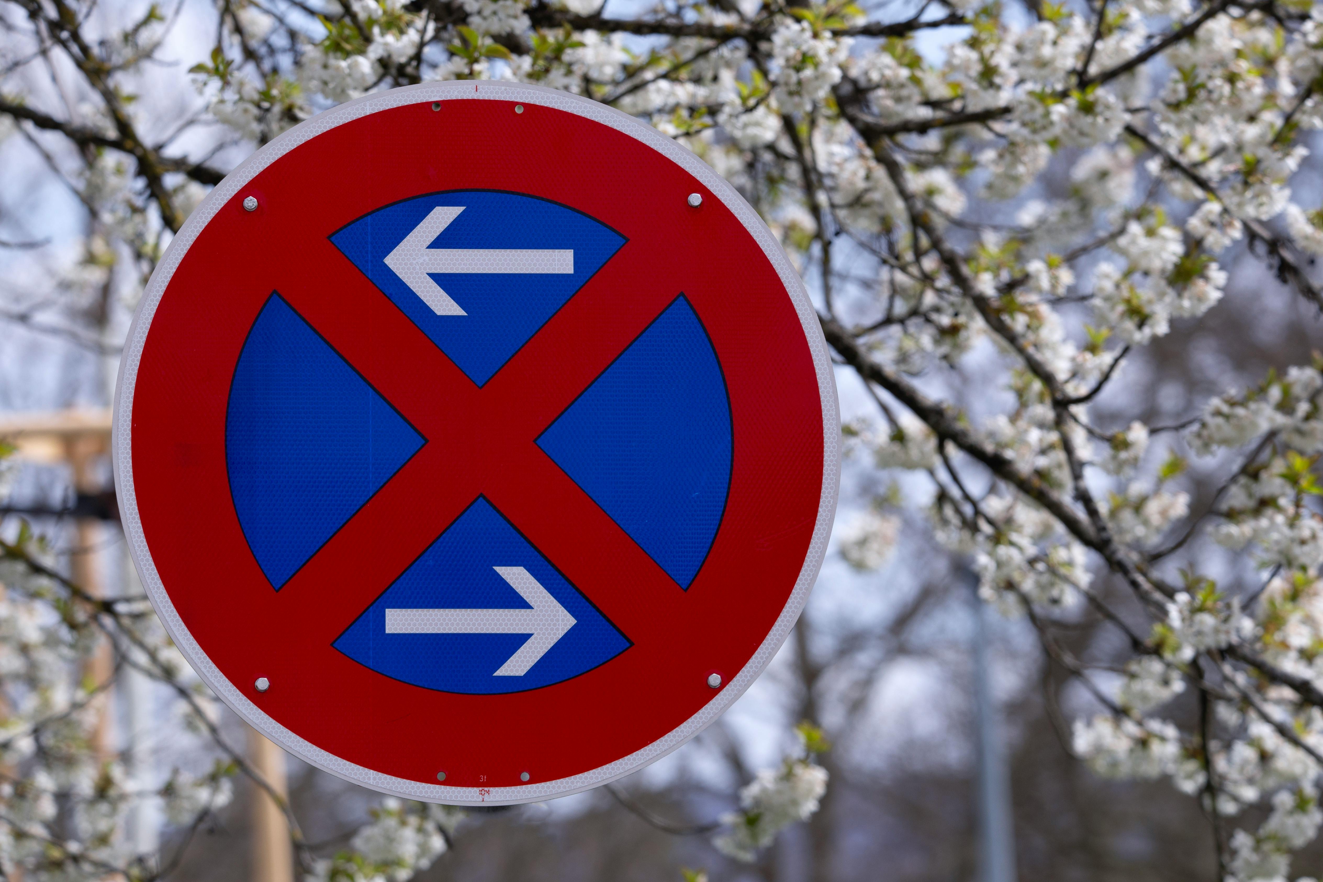 Don’t Limit AI in Software Engineering to Coding — Photo by Maxim Gorodnev on Pexels